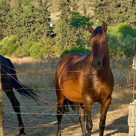 Design Cerca Puerto Banus Y Marbella * Estepona