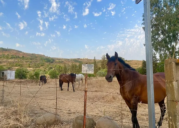 Design Cerca Puerto Banus Y Marbella Διαμέρισμα Εστεπόνα