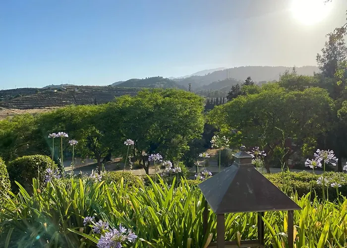 Design Cerca Puerto Banus Y Marbella *