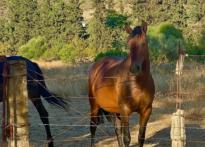 Design Cerca Puerto Banus Y Marbella * Εστεπόνα